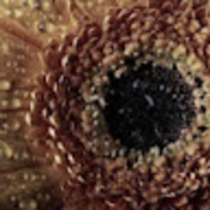 Meet your Posher, Maysen